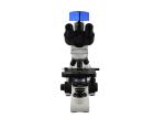 Trinocular Laboratory Biological Microscope / Laboratory Optical Microscope