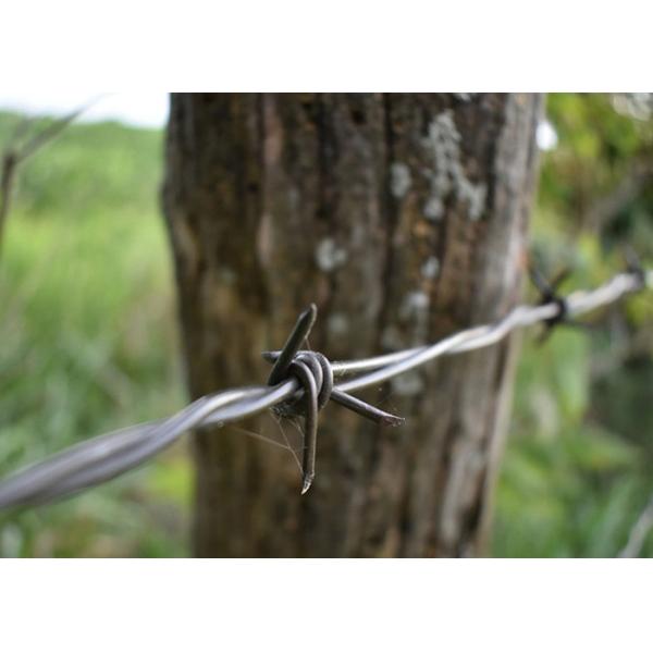 Use Of Prison Walls Double Strand Reverse Twist Stainless Steel Barbed Wire