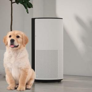 Sleep Mode Pet Air Purifier Capture Pet Dander And Other Allergens 8 hours Timer