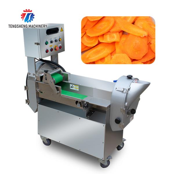 Tengsheng Infeed Chute Fruit Processing Machine Cucumber Lime Fracturing