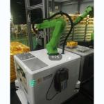 Fanuc Cobot Robotic Arm 6 Axis CR-14iA/L With CNGBS RGV Robot For Cnc Pallet