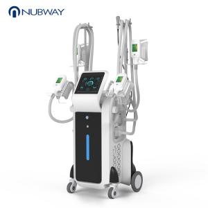 Coolsculpting 4 Handles Fat Freezing Cryolipolysis Body Slimming Machine Vacuum Cavitation System