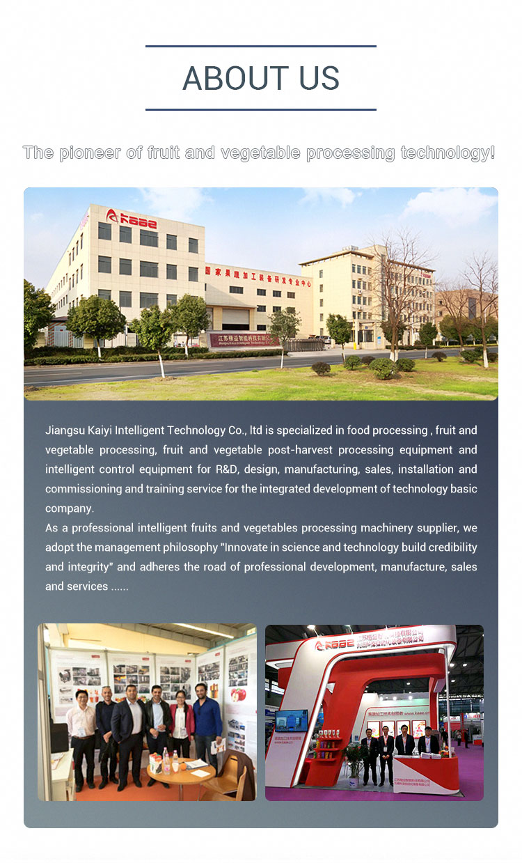 SS304 Automatic Fruit Sorting Machine Photoelectrical Fruit Grader Machine
