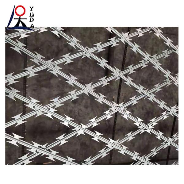 Quality Electric Galvanized Razor Barbed Wire Razor Wire Fence Security Mesh for sale