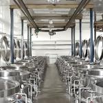 Factory Customized turn-key project full automatic hawthorn processing line
