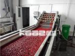 20t/H Dates Processing Line Low Temperature Vacuum Concentrate Dates Processing