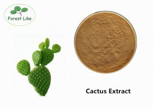 China Pure Natural Chinese Herb EXtract Cactus Extract Powder For Losing Weight on sale