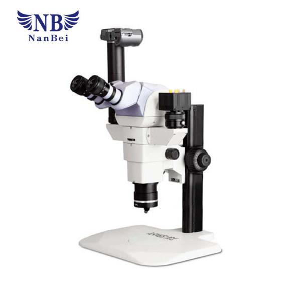 Quality Laboratory Medical Laboratory Microscope , Study Grade Stereo Microscope for sale