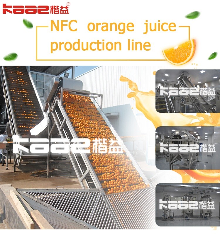 Citrus Orange Sacs NFC Juice Processing Line Lemon Juice Extraction Machine