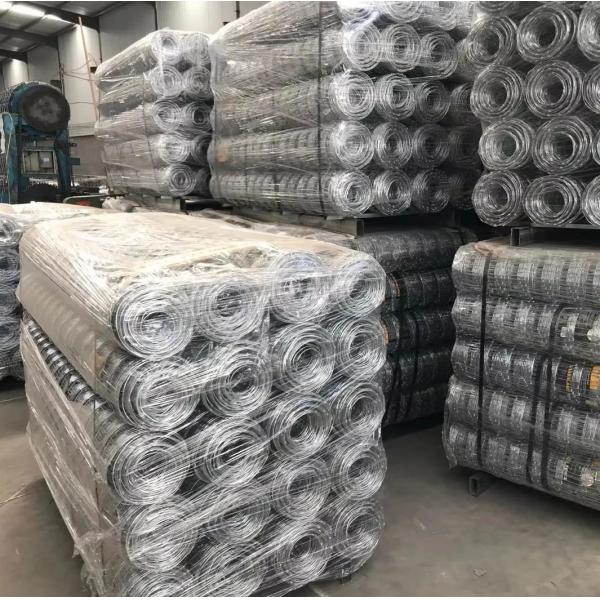 Grassland Hinge Knot High Tensile Galvanized Iron Wire Sheep Yard Fence