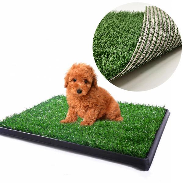 Quality Pet Artificial Turf Grass Padel Court Artificial Grass For Pet Behaviour Training for sale