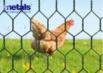PVC Coated Chicken Hexagonal Wire Mesh Netting Green 1" Hole OEM