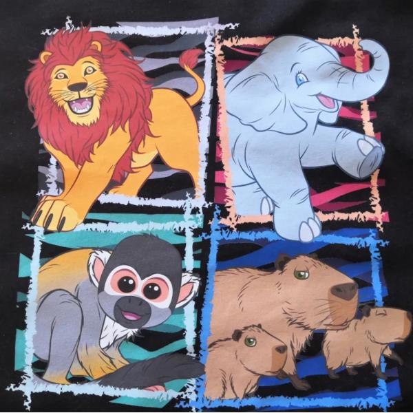 60cm Width PET DTF Transfer FIlm Roll To Roll For Textiles