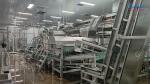 Energy-saving Citrus Processing Line Essential Oil Extraction From Peel Juice