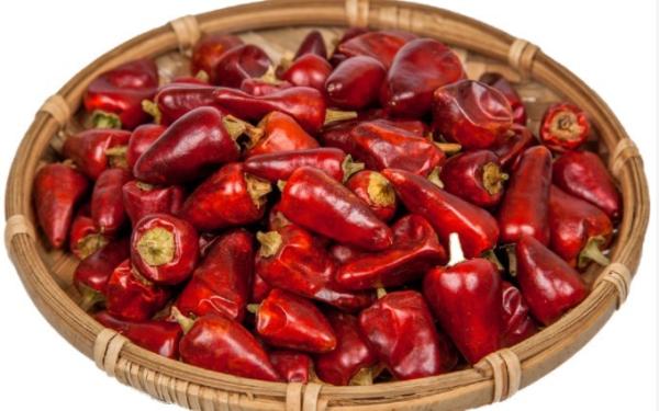 Quality Zero Additive Red Bullet Chilli Sterilized 4CM Dehydrating Chillies for sale
