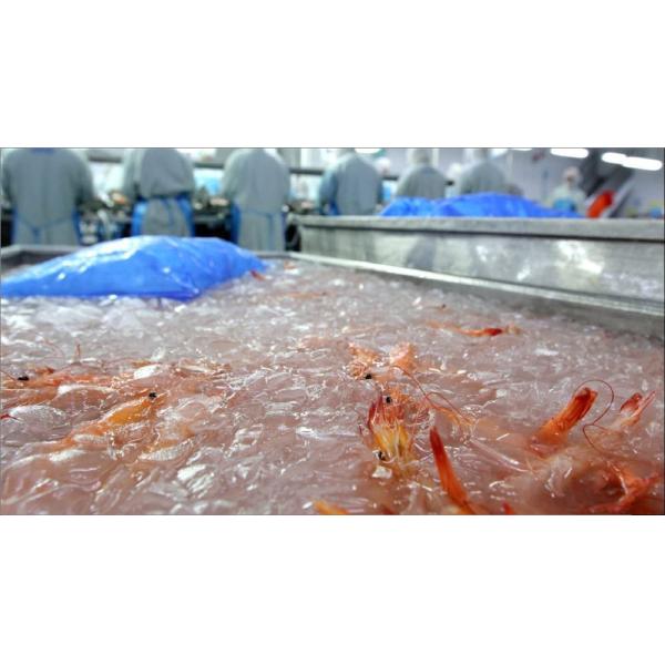 Industrial Ice Slush Machine for Home Beverage Revolutionize Your Fishing Experience