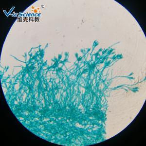 Buy cheap Professional Reliable Prepared Microscope Slides Botany Slides 30pcs product