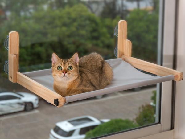 Quality Cat Window Amazon Cat Hammock-Seat Furniture-Bad for sale