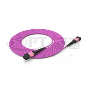 China 100G MTP Patch Cord 24 Cores Multimode OM4 50/125 LSZH 3.0-4.0mm Heather Violet Jumper on sale