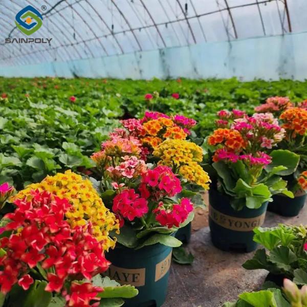 Quality Rectangular Large Commercial Greenhouse Multispan Agricultural Greenhouse for sale