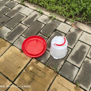 Plastic Poultry Drinker Red For Improved Poultry Performance And Profitability