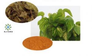 Buy cheap Mulberry Leaf Extract Powder 100% Herb Extract Powder product
