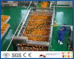 10TPH Automatic Orange Juice Extract Orange Processing Line For Juice Making