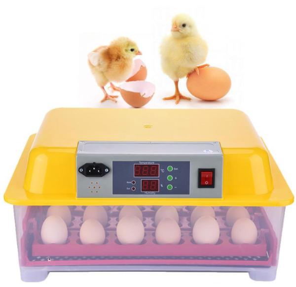 Quality Plastic Commercial Egg Incubator , Egg Hatching Incubator High Low Temperature Alarm for sale