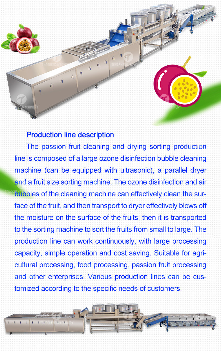 Passion Fruit Bubble Cleaning And Drying Sorting Production Line
