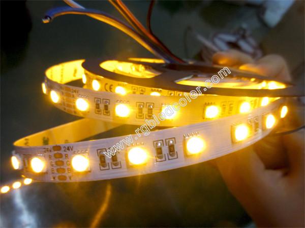 Quality 24V rgb and yellow four color chips inside one smd led strips for sale