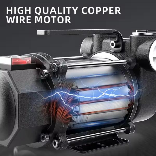 Small Automatic 12V/24V Electric Diesel Oil Pump Customizable OEM & ODM Supported