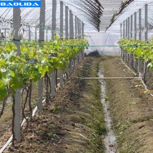 Buy cheap Small Greenhouse Irrigation System / Greenhouse Auto Watering System product