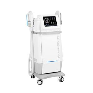 Electromagnetic  Radio Frequency Fat Reduction Machine Cellulite Removal