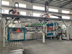 Vacuum Suction Pulp Plate Making Machine Fully Automatic Pulp Food Tray Making Machine