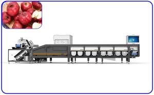 Red Dates Automatic Grading Machine