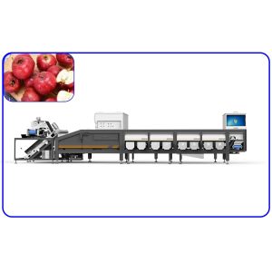 Buy cheap Red Dates Automatic Grading Machine from wholesalers