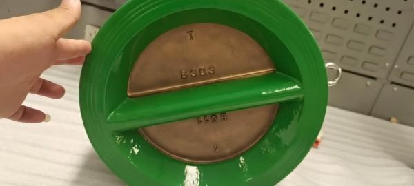 Quality Marine Dual check valve for sale
