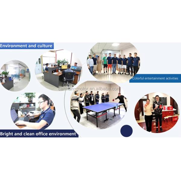 Carman 2841 WG9725190103 WG9725190122 SZ919000895 SZ919000894 1109070-50A 1109060-50A Howo Shaman Heavy-Duty Truck Air Filter