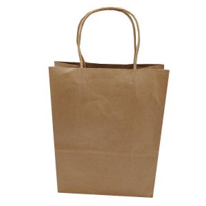 China Rectangle Twisted Handle Paper Bags None Pattern Type For Unisex on sale