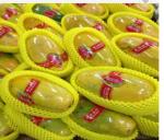 Automatic plastic foaming net set machine Fruit net set machine