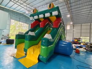 China New Design Inflatable Slide Frog Figure Inflatable High Double Slides Dry Slide For Kids And Adults on sale