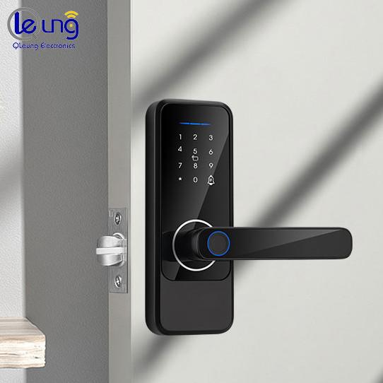Quality Aluminum Alloy Digital Door Lock Tuya Ttlock Wifi Keys Cerraduras Inteligentes for sale