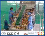 CE Apple Processing Line with Automatic Disinfection Liquid Concentration