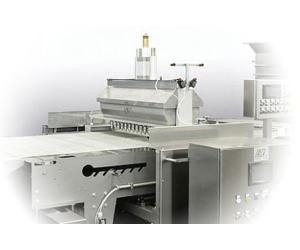Biscuit production line