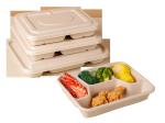 Biodegradable Paper Tableware Making Machine Flexible And Precise Production