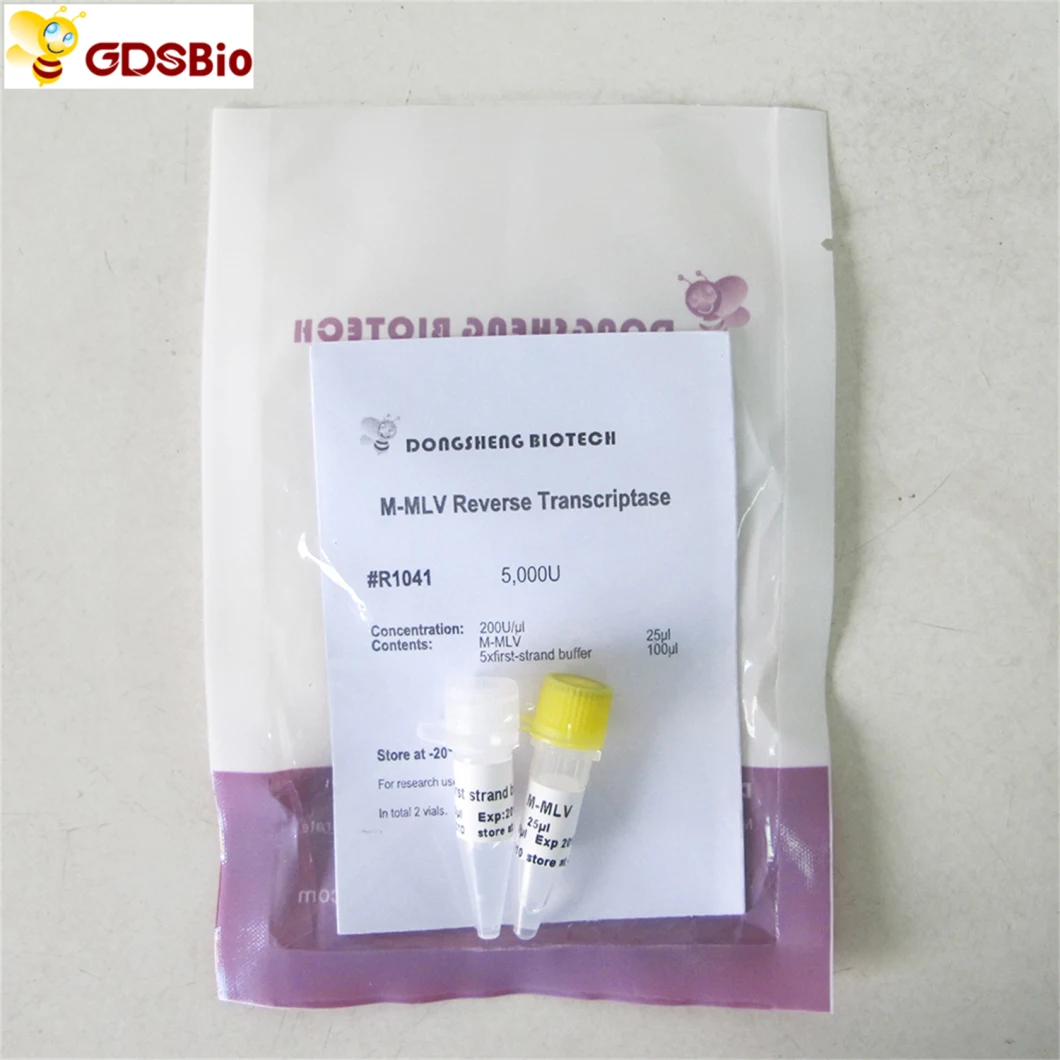 M-Mlv Reverse Transcriptase Rt-PCR