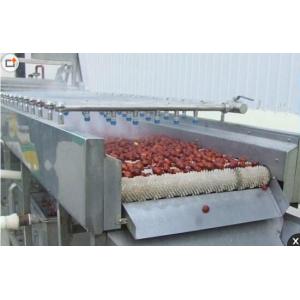 Automatic Ginger Washing Machine , Stainless Steel Vegetable Washing Equipment
