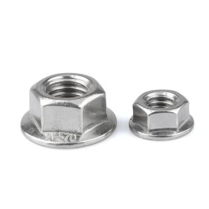DIN6923 M5-M14 Stainless Steel Flange Nut