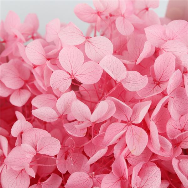Fake Artificial Hydrangea Flowers , Real Touch Hydrangea Unique Gift Ideas