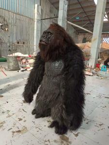 Buy cheap Plush Furry Adult Realistic Halloween Costumes Mascot Animal Dress Suit Fursuit Gorilla product